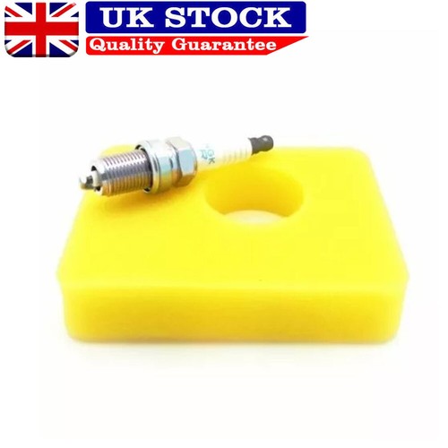 Service kit for briggs - service,