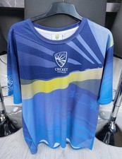 Blue And Yellow Cricket