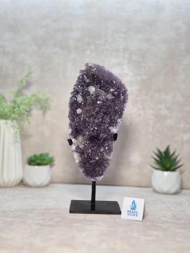 Geode amethyst druzy - amethyst,