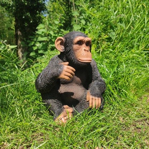 Vivid arts sitting - sitting, chimpanzee
