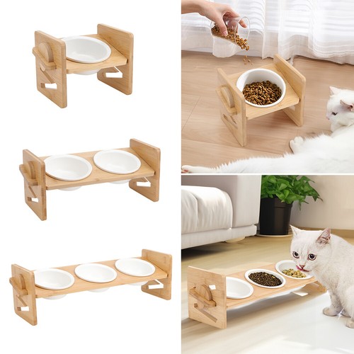 Elevated raised dog cat pet - dog,
