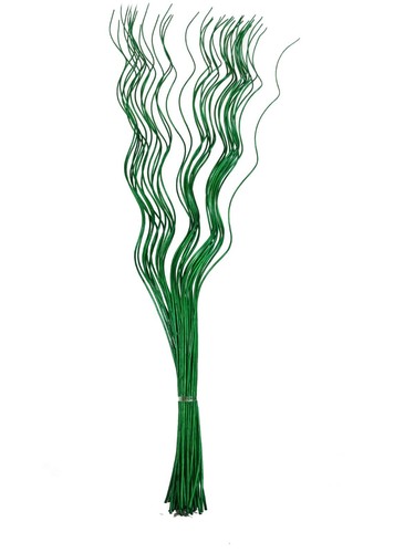 Spiral corkscrew curly willow - spiral,