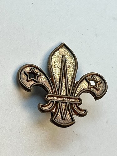 Scout beret badge - scout,