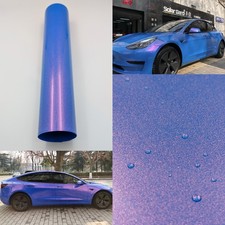 Blue/Red Diamond Chameleon