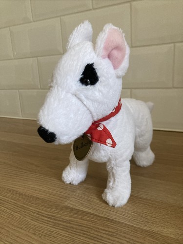 English bull terrier dog - english,