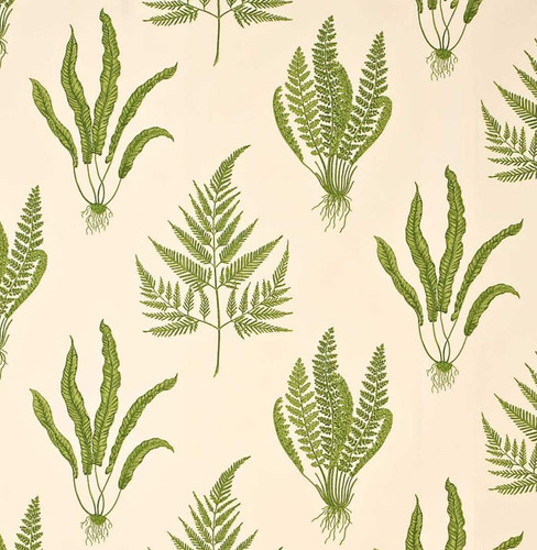 Sanderson curtain fabric - sanderson,