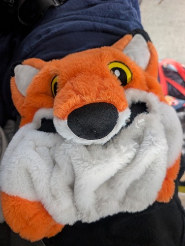 Fluffy fox motorcycle - fluffy,