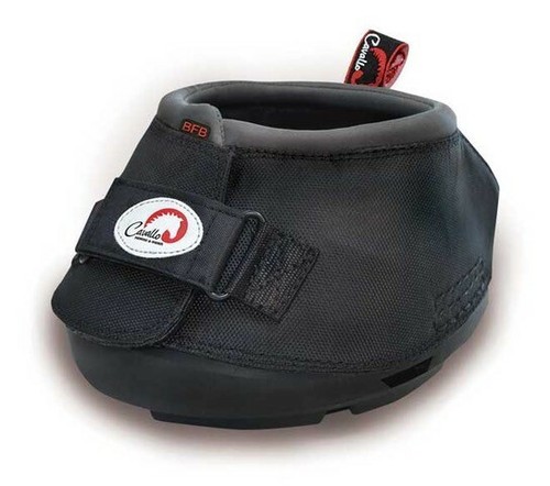 Cavallo big foot - big, hoof