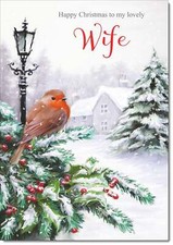 Doodlecards Wife Christmas Card Robin in Winter Scene
