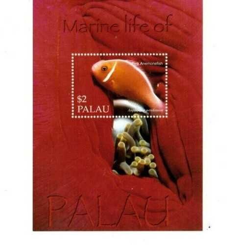 Palau 2004 marine life - palau,