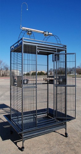 Large bird parrot play top - bird, play-top