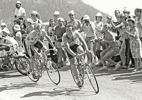 Bernard hinault and greg - hinault,