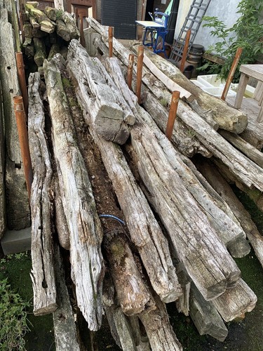 Very old english oak - oak,