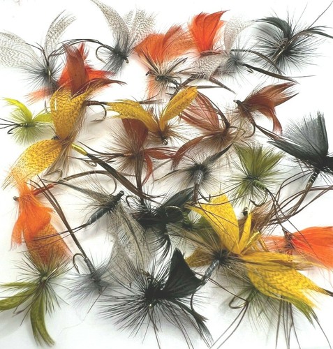 Assorted collection trout fly - assorted,