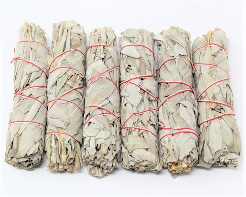 Pack white sage smudge - pack,