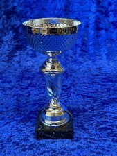 Silver Bowl Cup Trophies 2