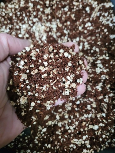 Ready use coco fibre coir - ready, to