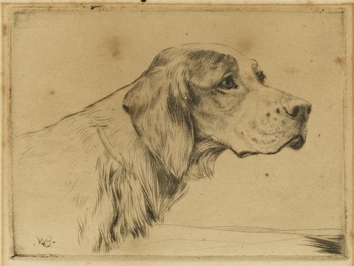 Ruben ward binks - ruben, small
