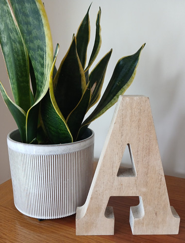 Freestanding hanging - or,