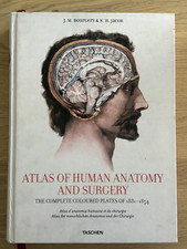 Atlas of Human Anatomy and