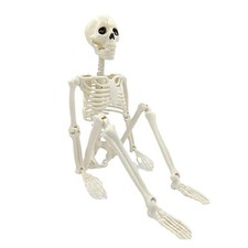 Posable skeleton decoration - posable,