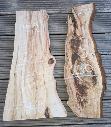 Spalted chestnut timber - x2,