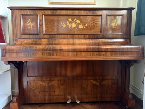 Beautiful bechstein model - beautiful,