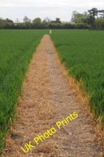 Photo 6x4 Glyphosate Shows the Way Blackmore/TL6001 I like unambiguous r c2015