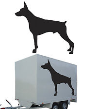Doberman, Sticker Vinyl