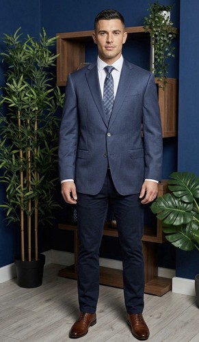 Pal zileri navy pinstripe - pinstripe, made