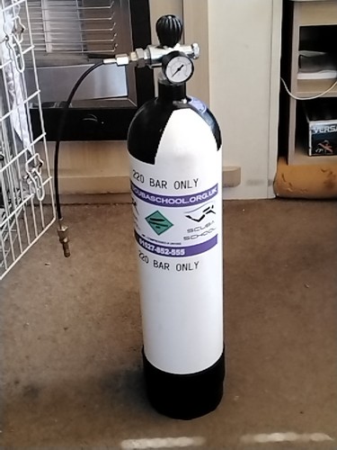Pcp air gun rifle - pcp, filling