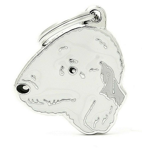 Bedlington terrier dog - bedlington,