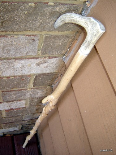All natural gnarled - natural/gnarled, twisty