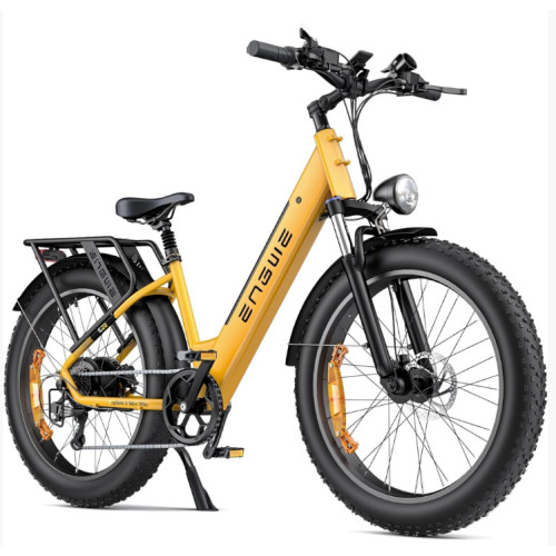 Electric bike 250w - electric, fat