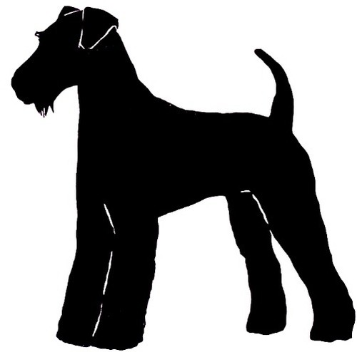 Love airedale terrier socks - i,