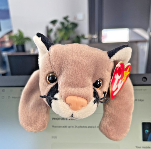 Vintage beanie babies - beanie,