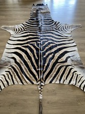 Zebra Real Skin Rug Hide Large