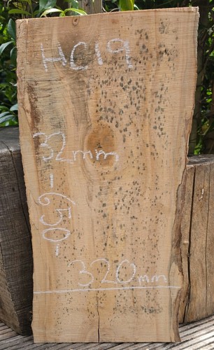 Spalted chestnut live edge - spalted,