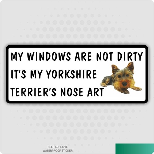 Windows are not - are, dirty