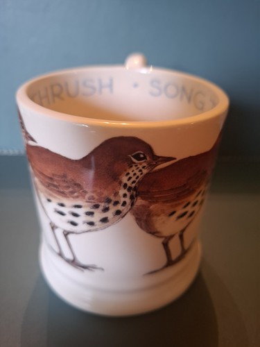 Emma bridgewater half - half, mug