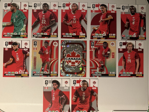 Panini adrenalyn fifa world - adrenalyn,