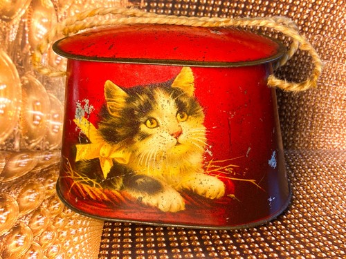 Kittens cats small red cws - small,