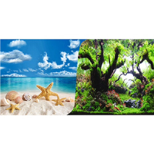 Seaview beach forest quality - seaview,