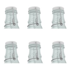 5L glass demjohns/carboys WITH