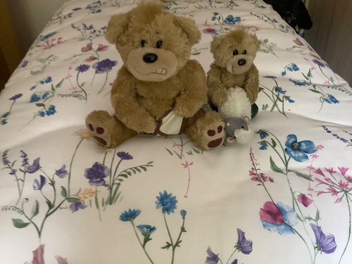 Vintage bad taste bears - vintage,