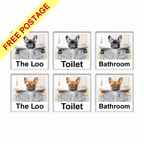 French bulldog reading - french, a