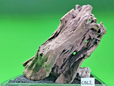 Large Corbo Root CBL2  AQUARIUM Vivarium AQUASCAPING like mopani bogwood