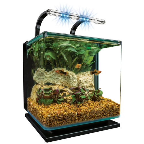 Tetra marineland contour - marineland,