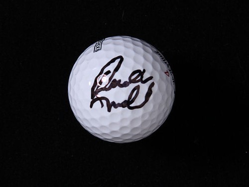 Brandt snedeker hand signed - brandt,