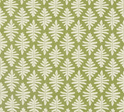 Vanessa arbuthnott little - little, fern